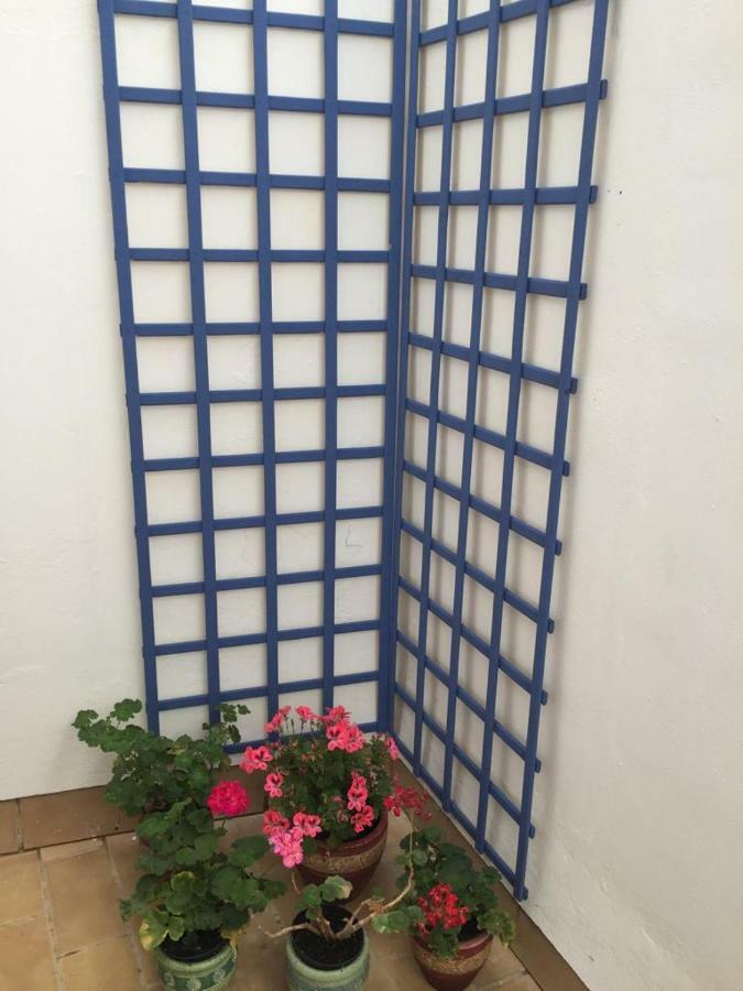 Apartamento Balneario Playa Caleta Kadyks Zewnętrze zdjęcie